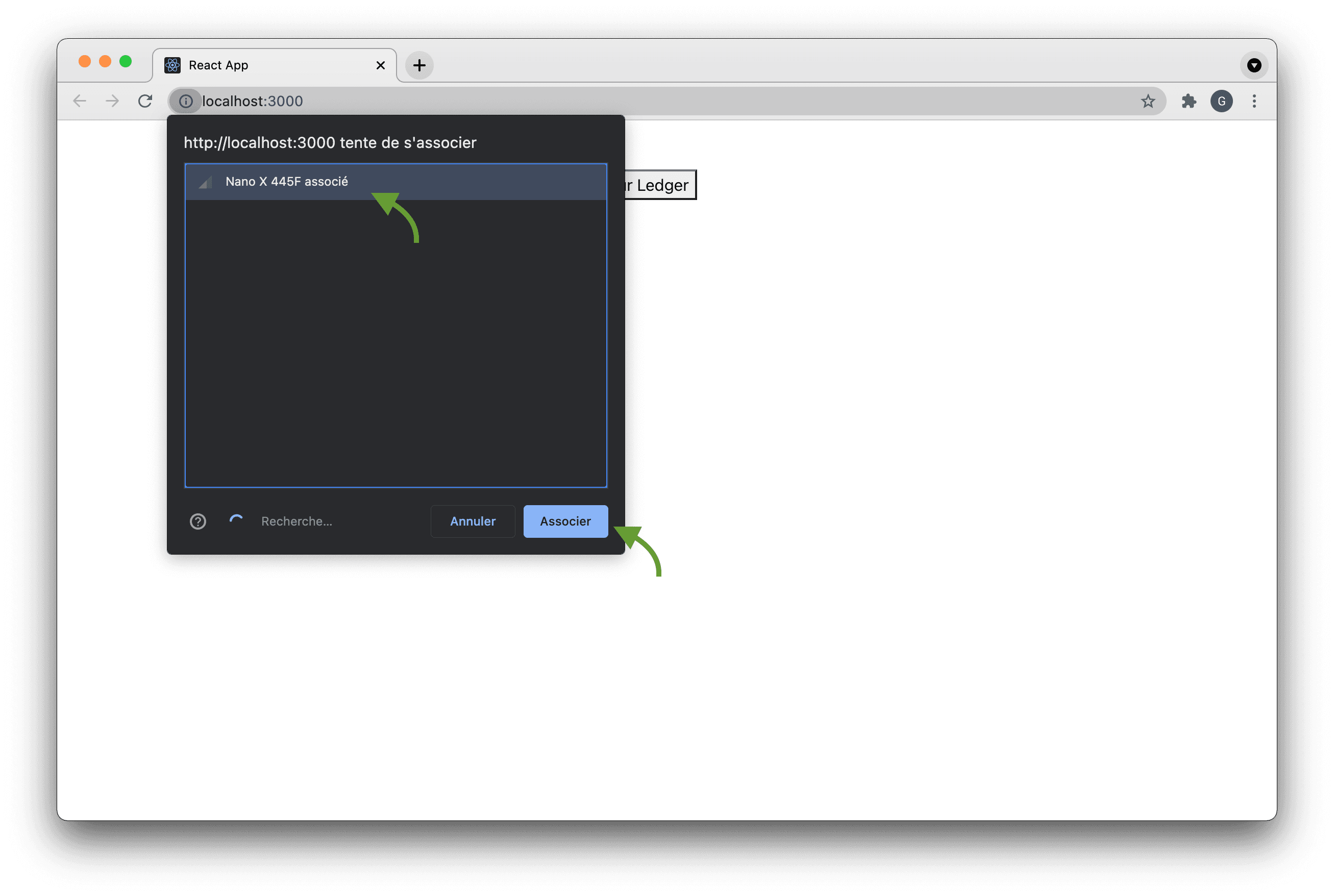 Connect the Ledger with Bluetooth