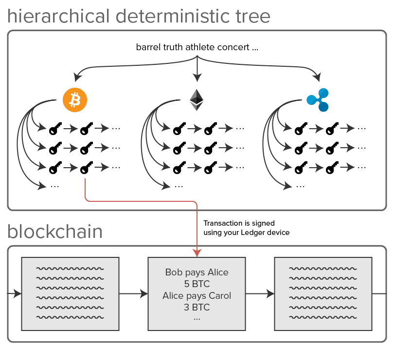 A diagram of a hierarchical deterministic wallet; everything in the box labelled "hierarchical deterministic tree" is recoverable if your wallet is lost, destroyed, or reset because it is all derived from the master seed